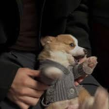 Bianca Mercado avatar